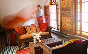 Riad Idrissy